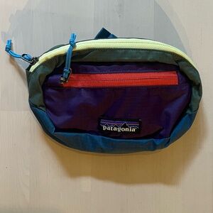 Patagonia Black Hole Mini Hip Pack 1L